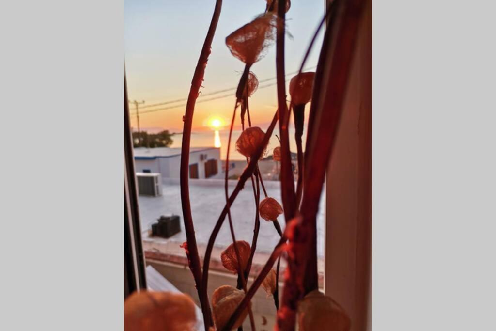 Mar Azul Σπίτι Δίπλα Στην Παραλία Και Στο Κέντρο! Apartment Elafonissos Ngoại thất bức ảnh